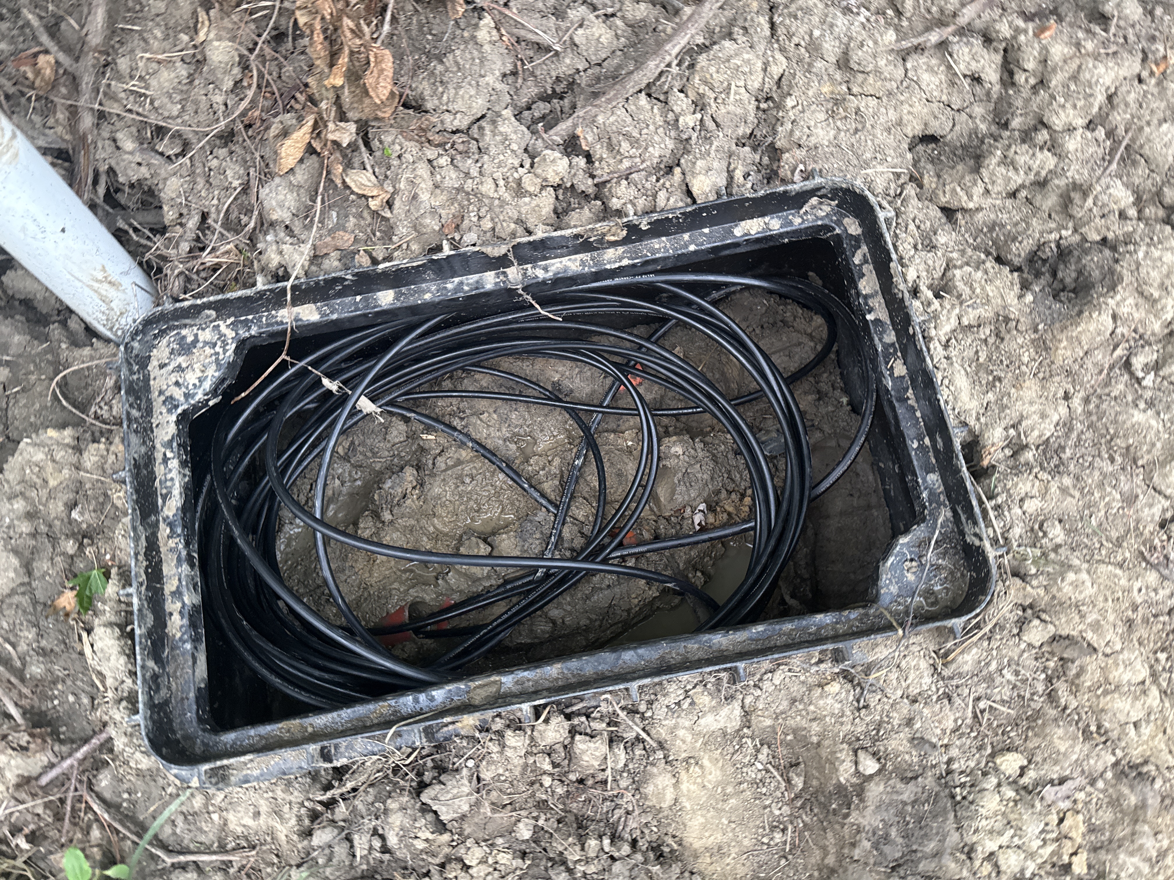 Caja