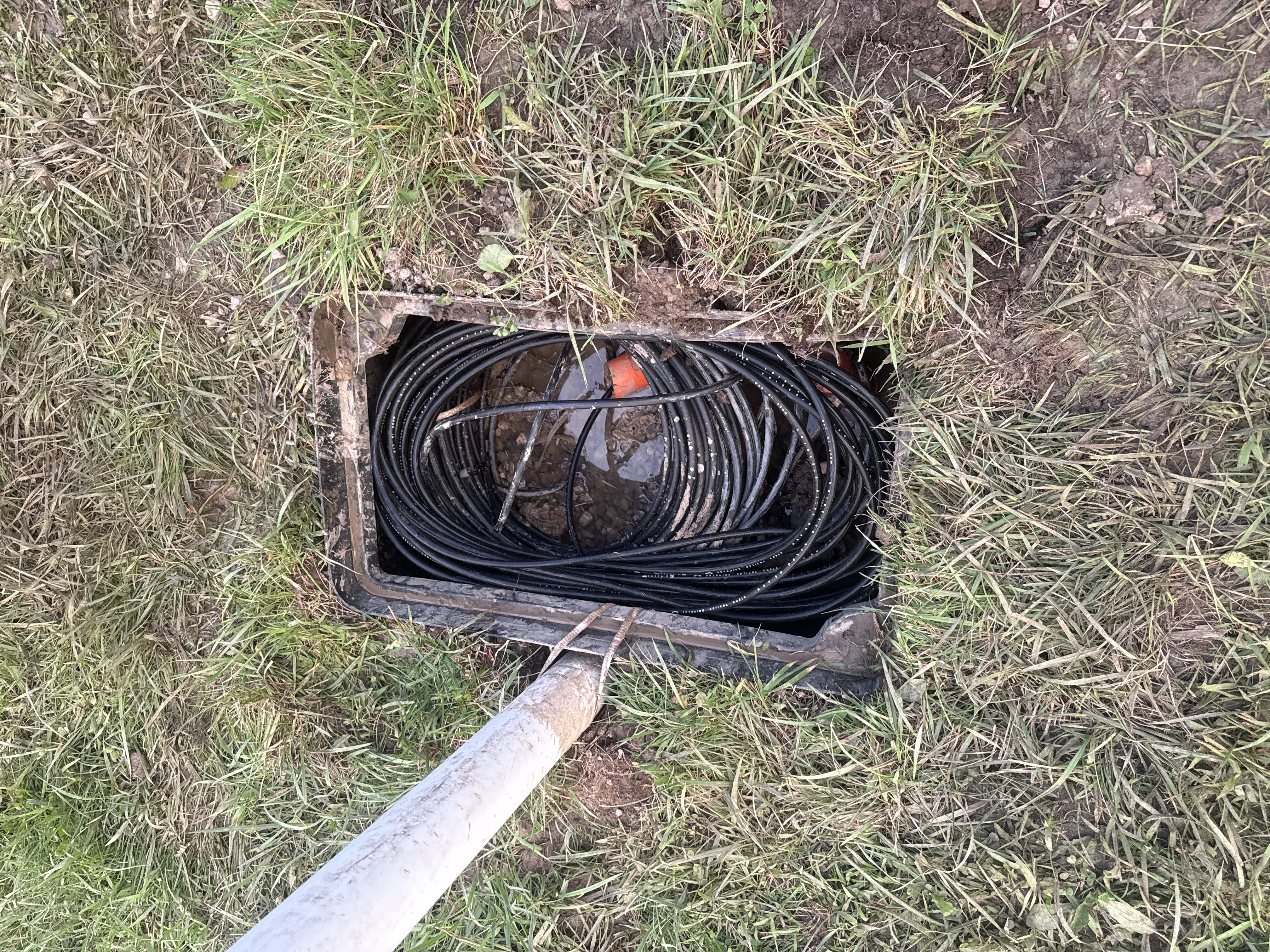 Caja