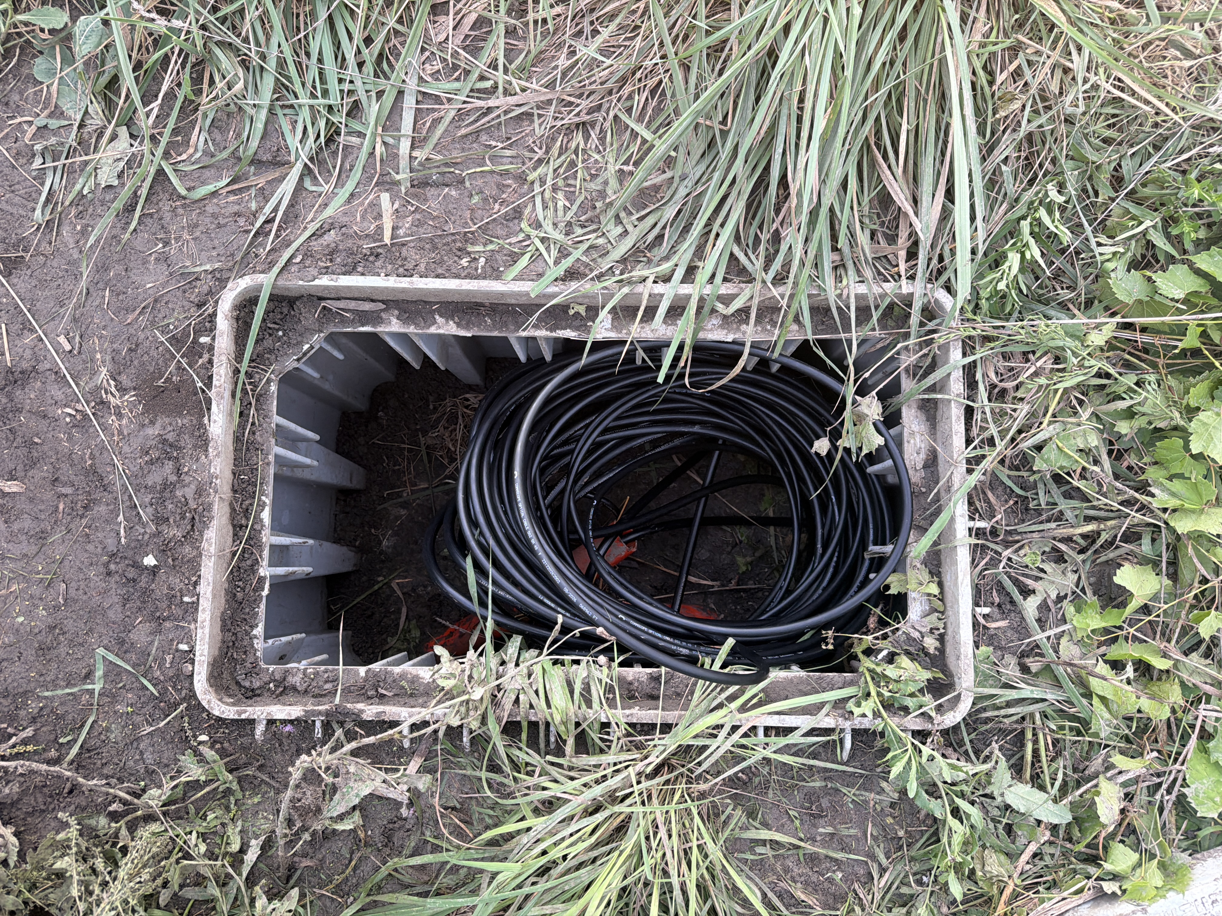 Caja