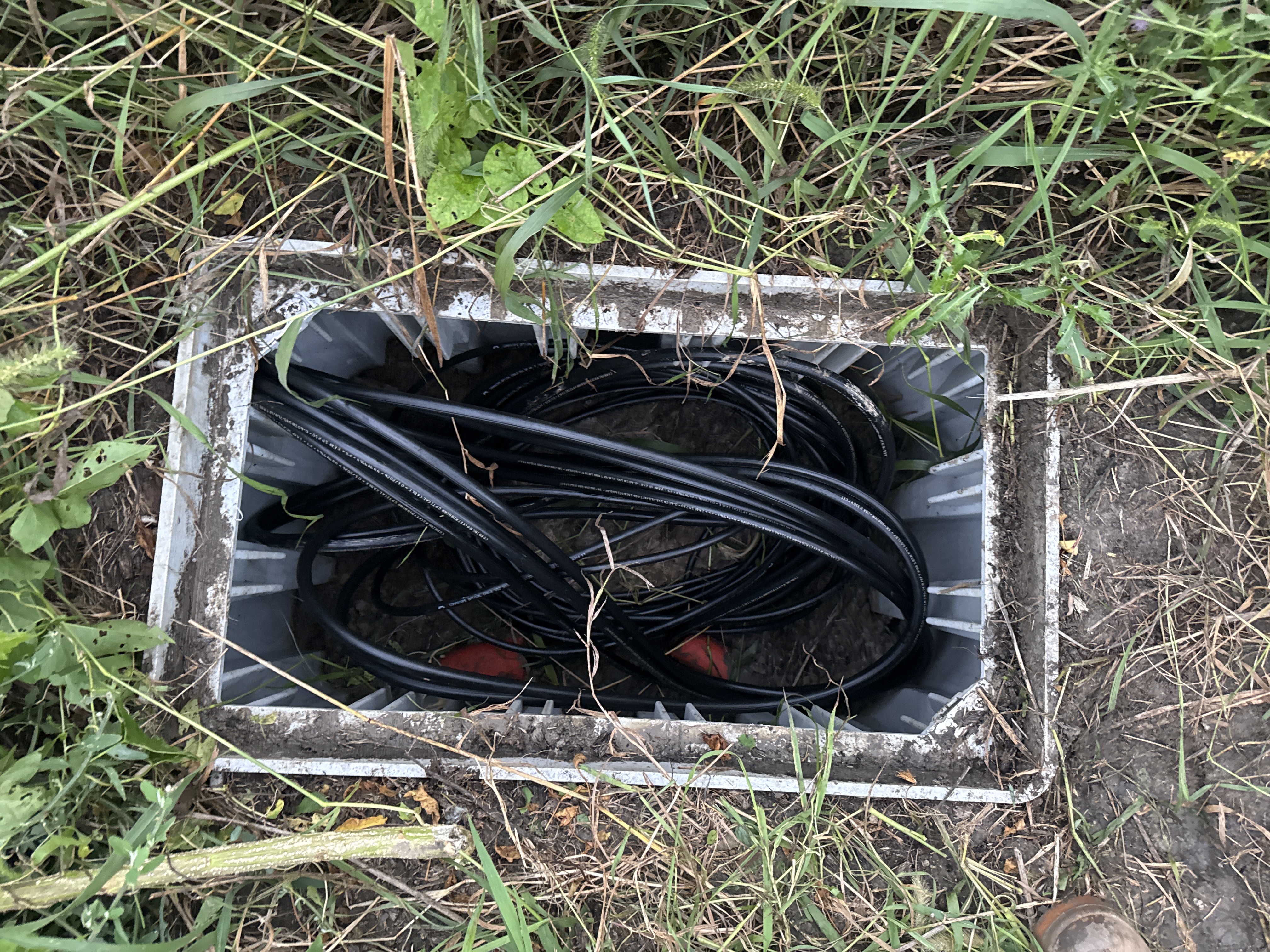 Caja