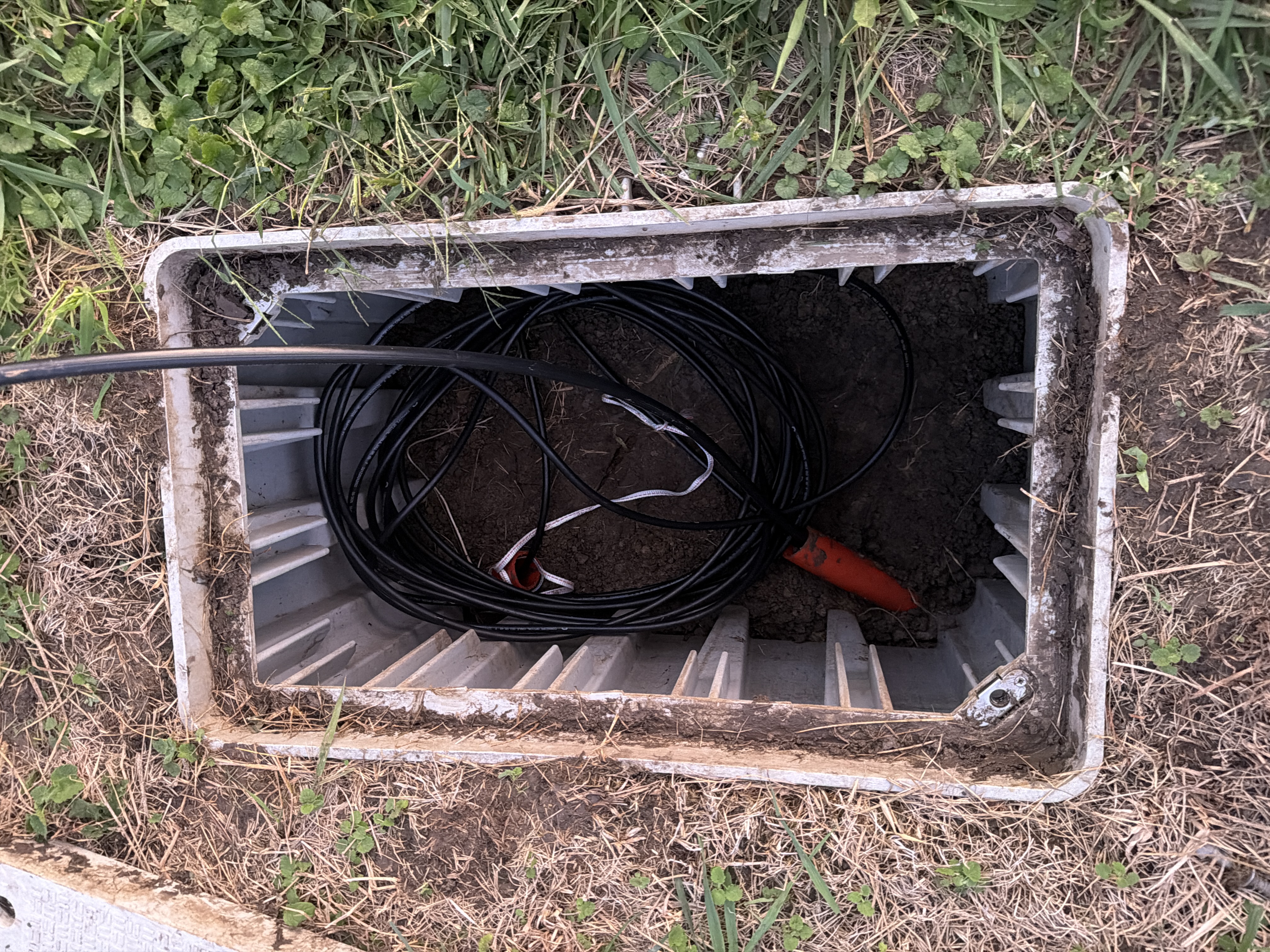 Caja